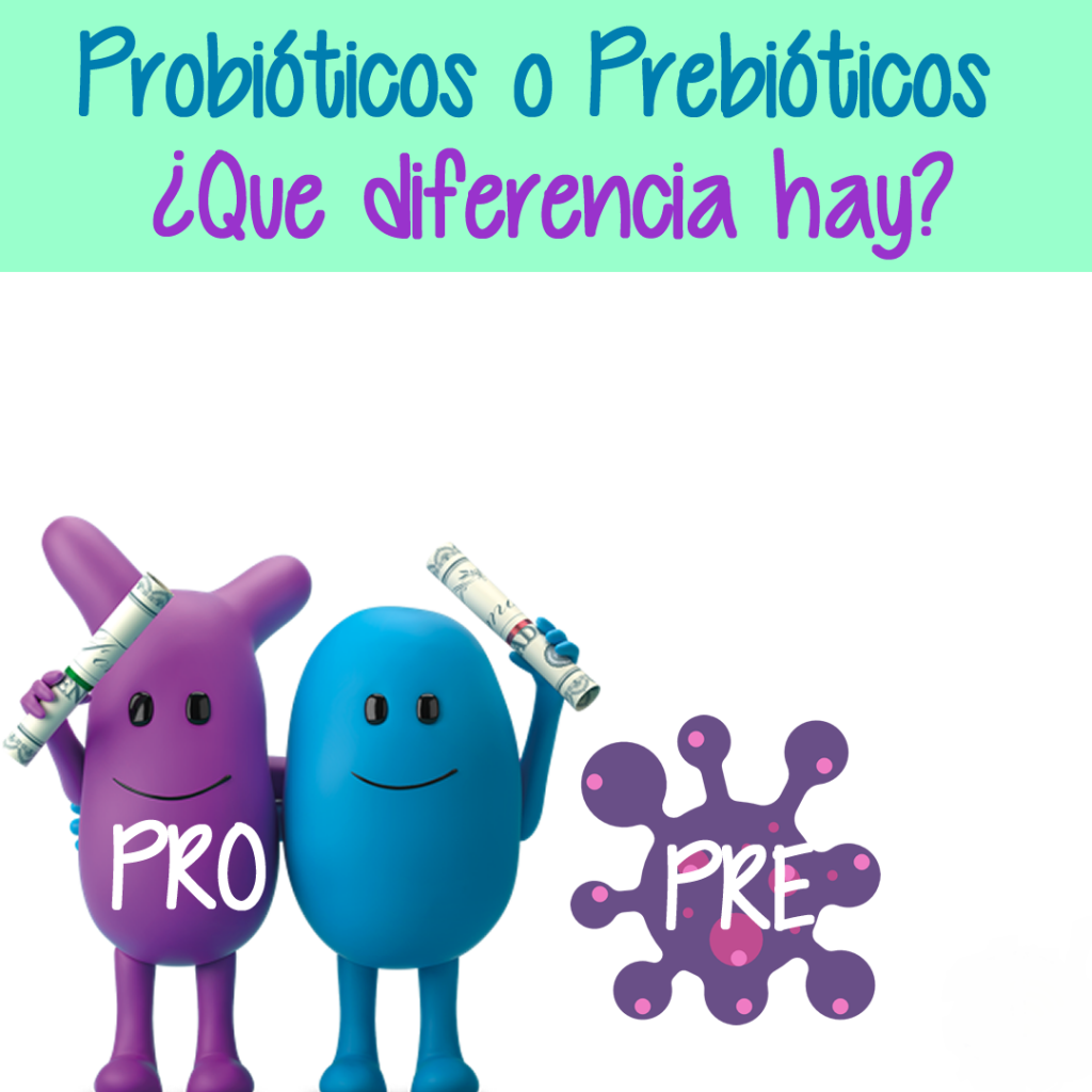 Qué son los probióticos y prebióticos