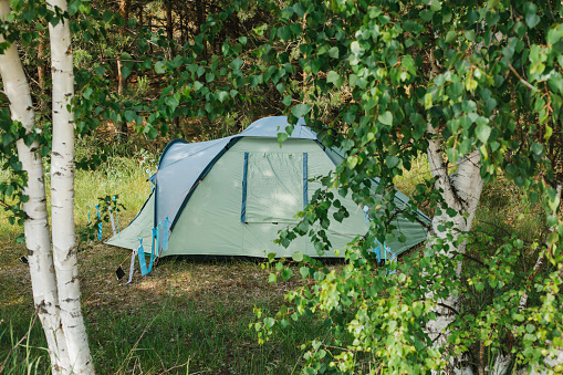 acampar en el bosque