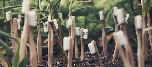 cepillos ecologico