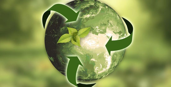 peridismo ecologico