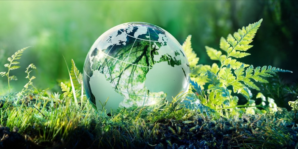 Cuentas de Tik Tok de ecología interesantes